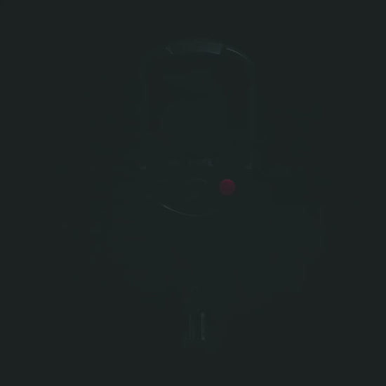 TR10 Thermal Imaging Camera